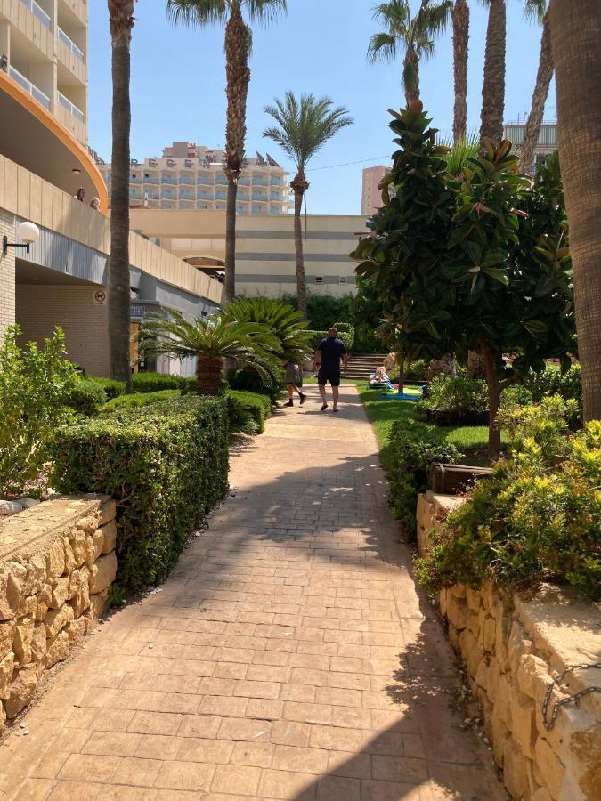 דירות בנידורם Rascacielo Bonito Mirando Al Mar מראה חיצוני תמונה